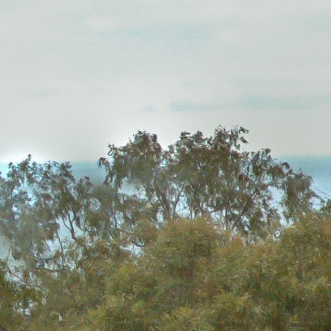 Benalmadena t 1b 06 08