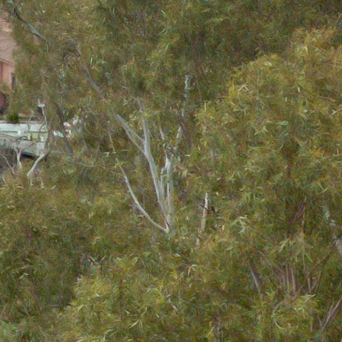 Benalmadena t 1b 07 08