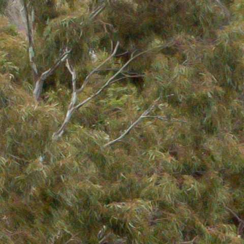 Benalmadena t 1b 07 10