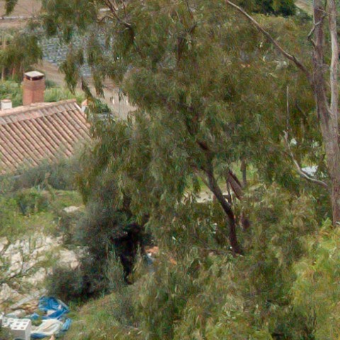 Benalmadena t 1b 08 07