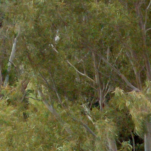 Benalmadena t 1b 08 08