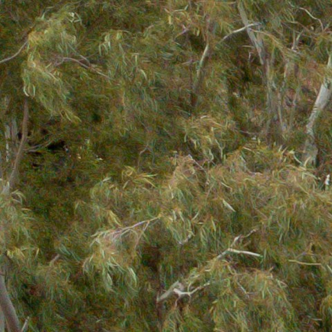 Benalmadena t 1b 08 09