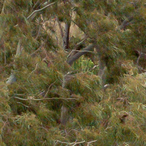 Benalmadena t 1b 08 10