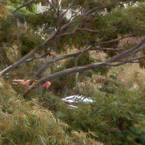 Benalmadena t 1b 08 11