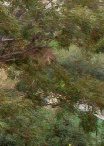 Benalmadena t 1b 08 12