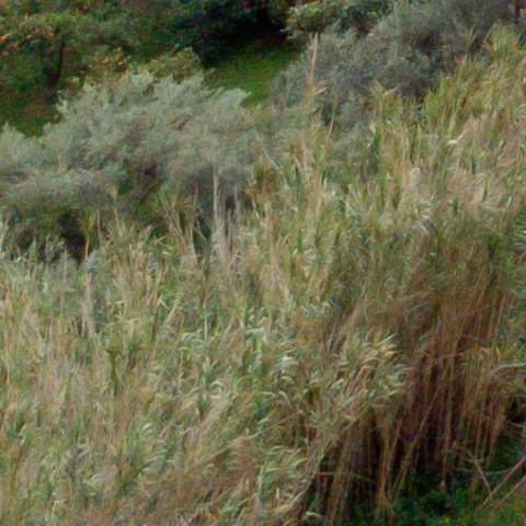 Benalmadena t 1b 09 04