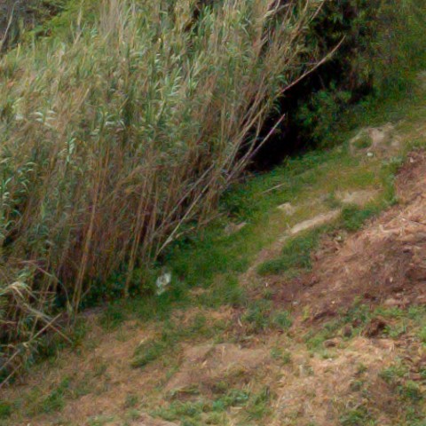 Benalmadena t 1b 09 05