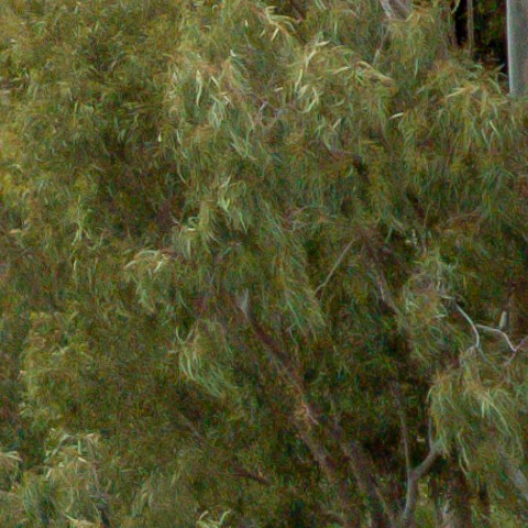 Benalmadena t 1b 09 08