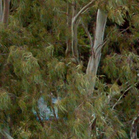 Benalmadena t 1b 09 09