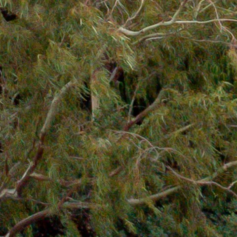 Benalmadena t 1b 09 10