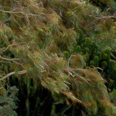 Benalmadena t 1b 09 11