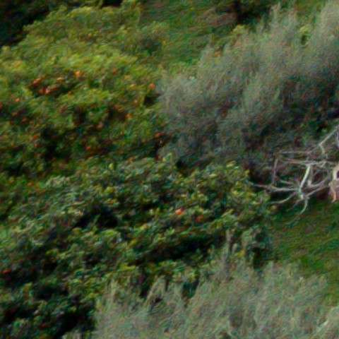 Benalmadena t 1b 10 01