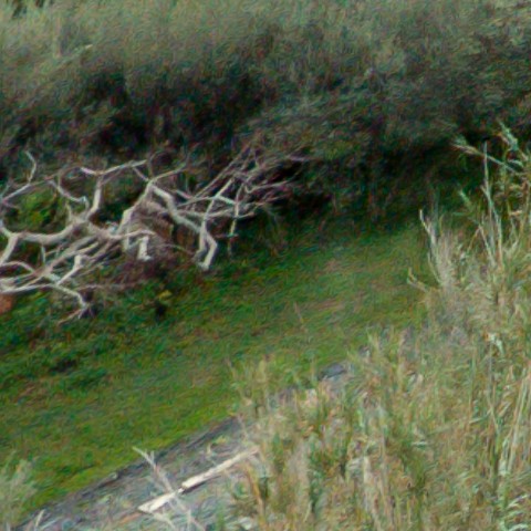 Benalmadena t 1b 10 02