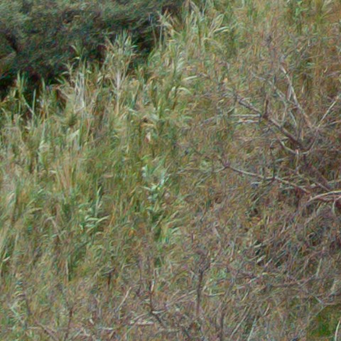 Benalmadena t 1b 10 03