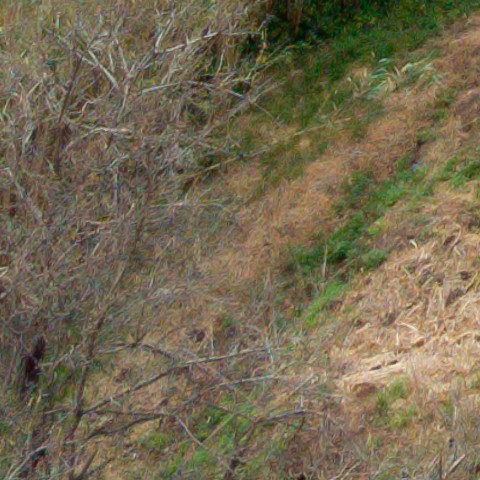 Benalmadena t 1b 10 04