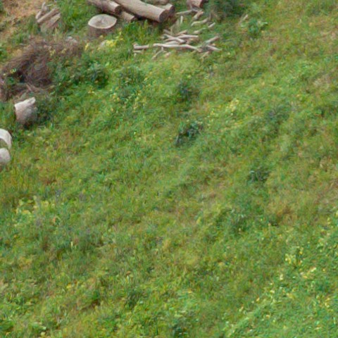 Benalmadena t 1b 10 06