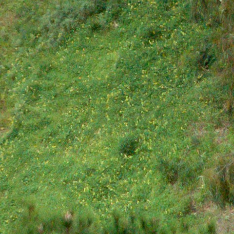 Benalmadena t 1b 10 07