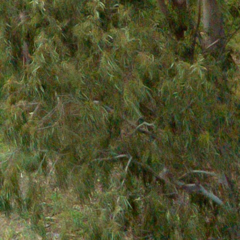 Benalmadena t 1b 10 08