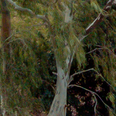 Benalmadena t 1b 10 09