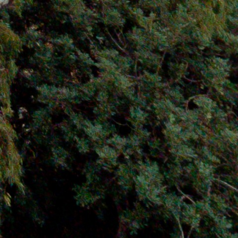 Benalmadena t 1b 10 10