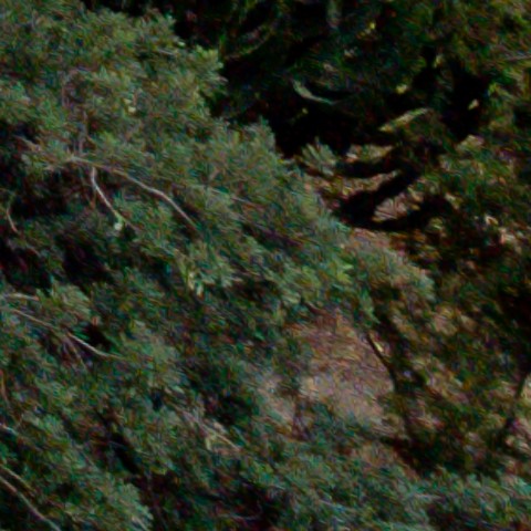 Benalmadena t 1b 10 11