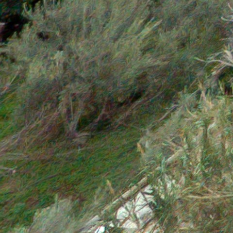 Benalmadena t 1b 11 01