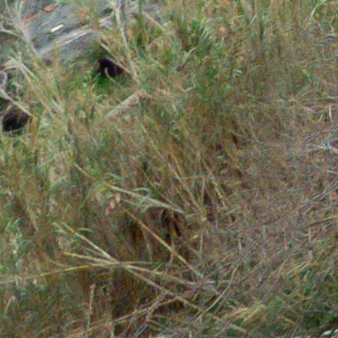 Benalmadena t 1b 11 02