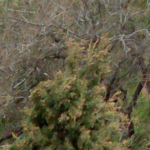 Benalmadena t 1b 11 03