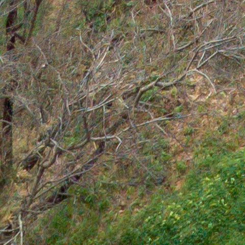 Benalmadena t 1b 11 04