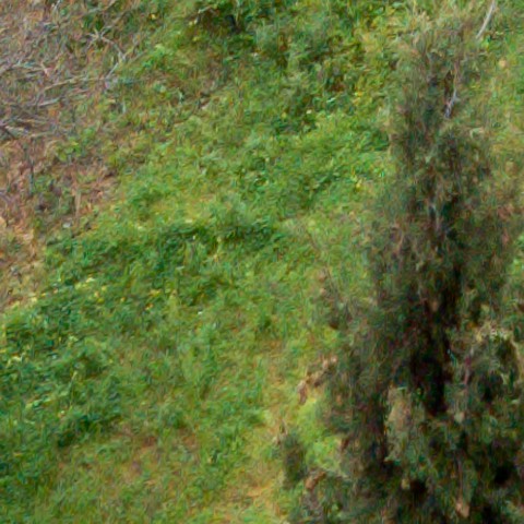 Benalmadena t 1b 11 05