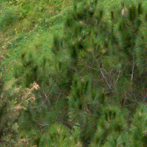 Benalmadena t 1b 11 06