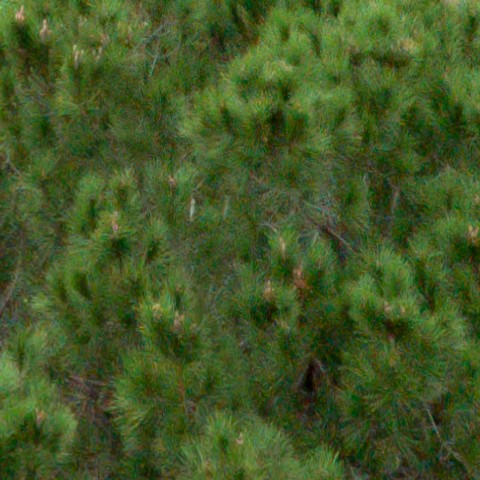 Benalmadena t 1b 11 07