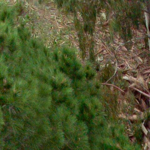 Benalmadena t 1b 11 08