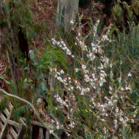 Benalmadena t 1b 11 09