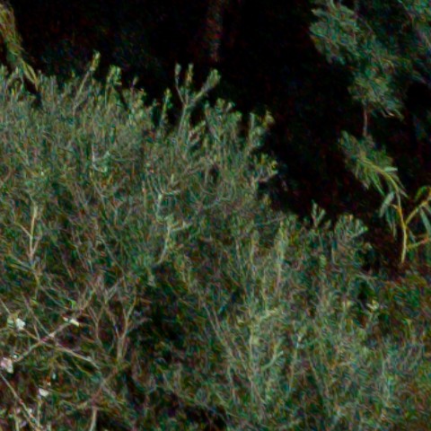 Benalmadena t 1b 11 10