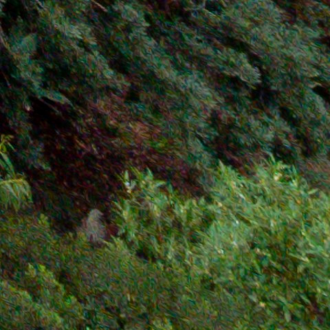 Benalmadena t 1b 11 11