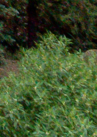 Benalmadena t 1b 11 12