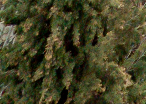 Benalmadena t 1b 12 03