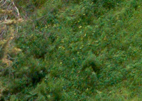 Benalmadena t 1b 12 04