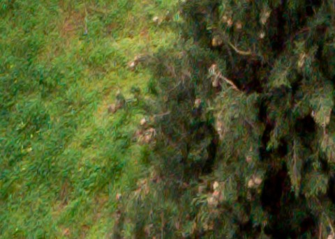 Benalmadena t 1b 12 05