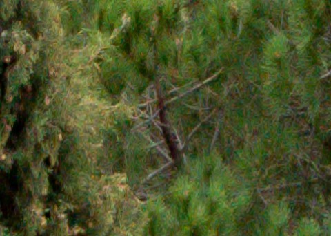 Benalmadena t 1b 12 06