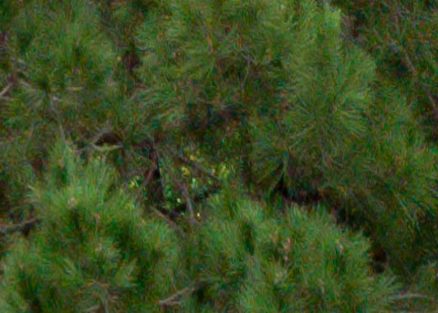 Benalmadena t 1b 12 07