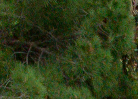 Benalmadena t 1b 12 08