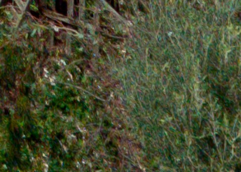 Benalmadena t 1b 12 09