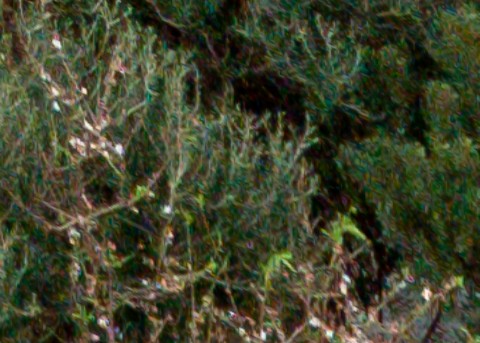 Benalmadena t 1b 12 10