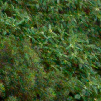 Benalmadena t 1b 12 12