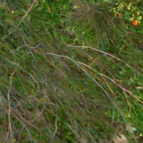 Benalmadena t 1d 01 01