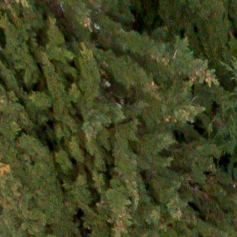 Benalmadena t 1d 01 04