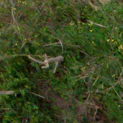 Benalmadena t 1d 02 01