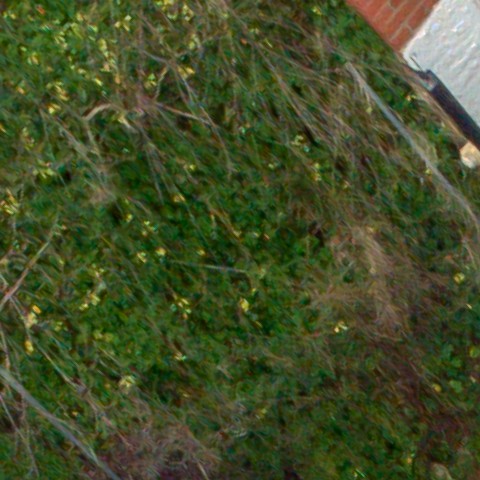 Benalmadena t 1d 02 02